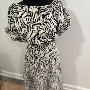 Elegant Black and White Zebra Print Skirt Set